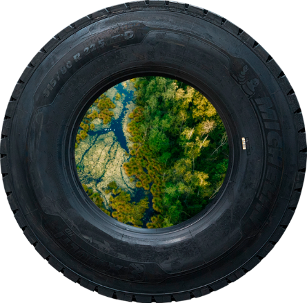 Pneu – procprotektory.cz