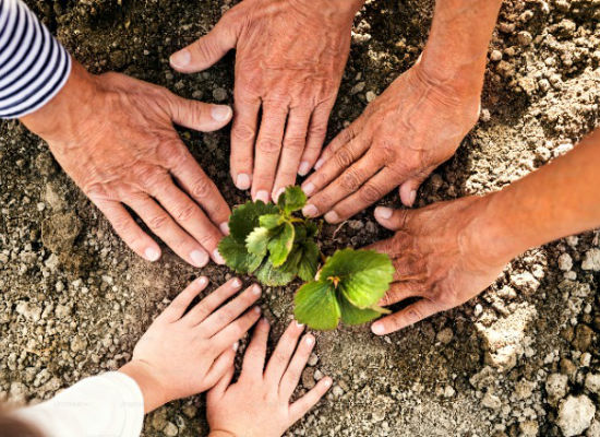 Bezpečnost a spolehlivost – procprotektory.cz